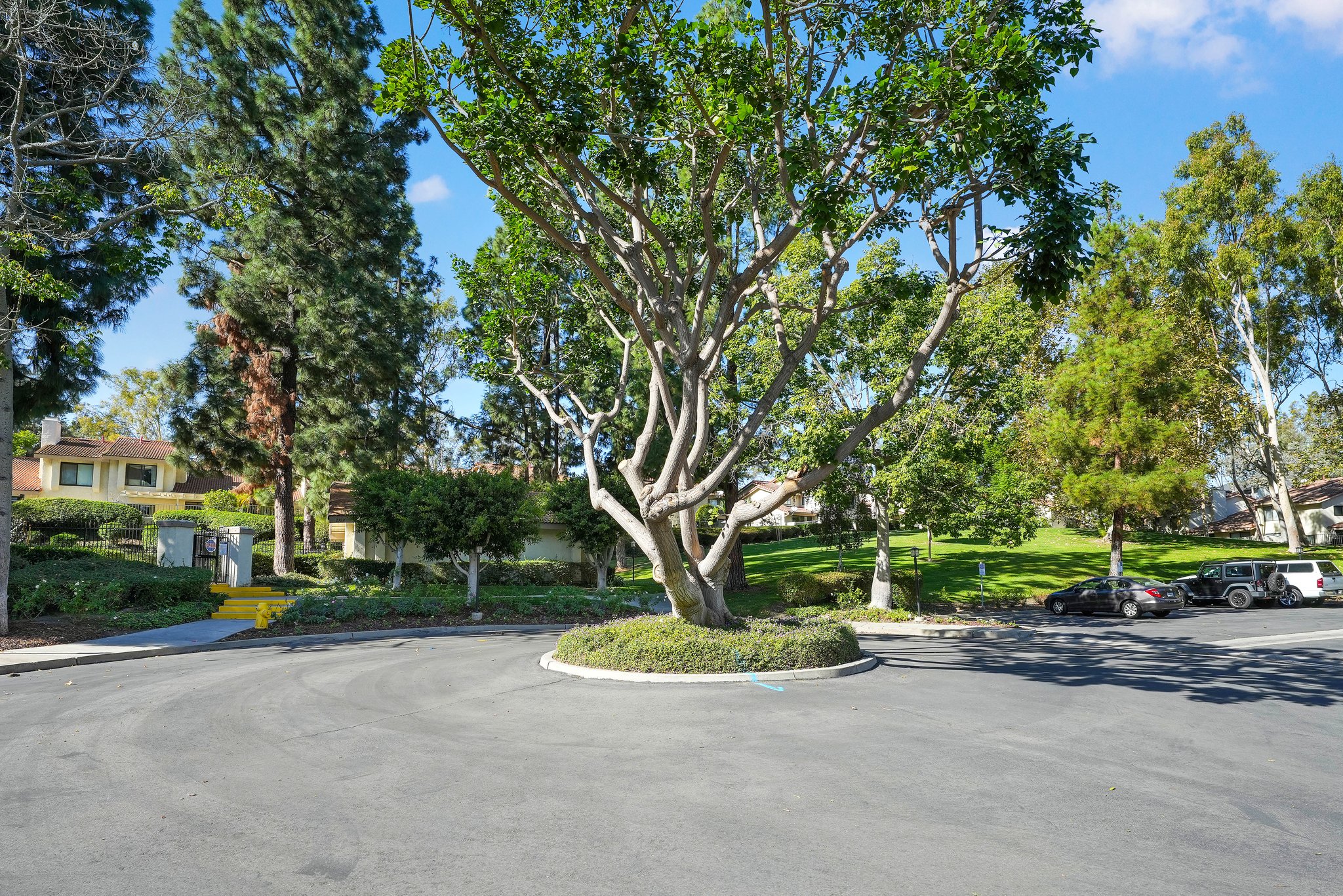 27-web-or-mls-1034 Whitewater Drive-27