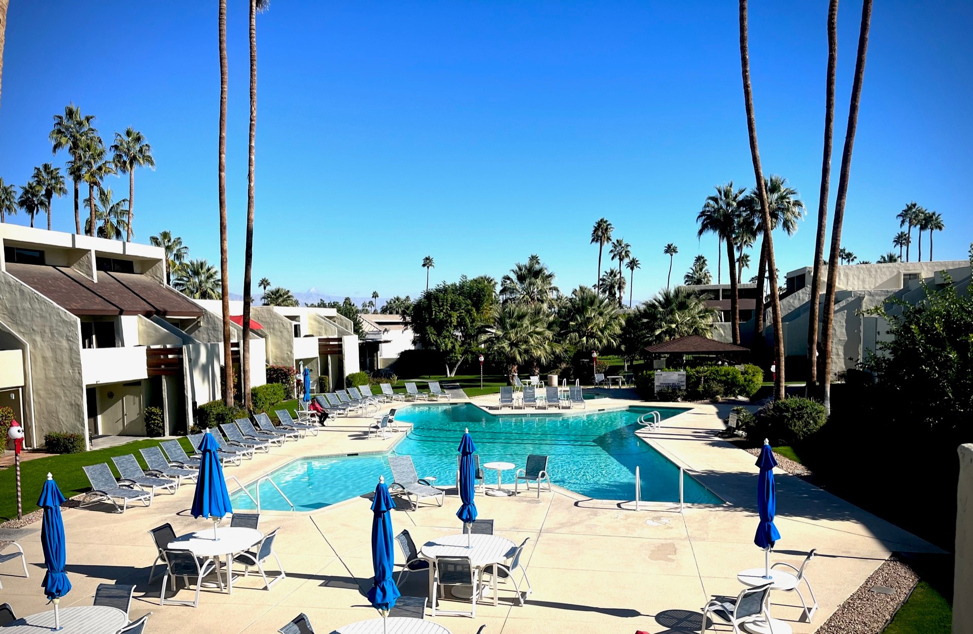 PALM CANYON 1