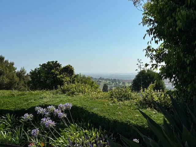SUNNYSIDE RIDGE 7